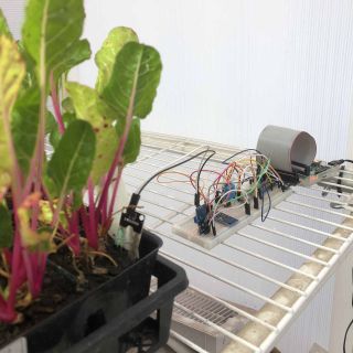 Raspberry Pi with moisture sensor in the greenhouse with plants