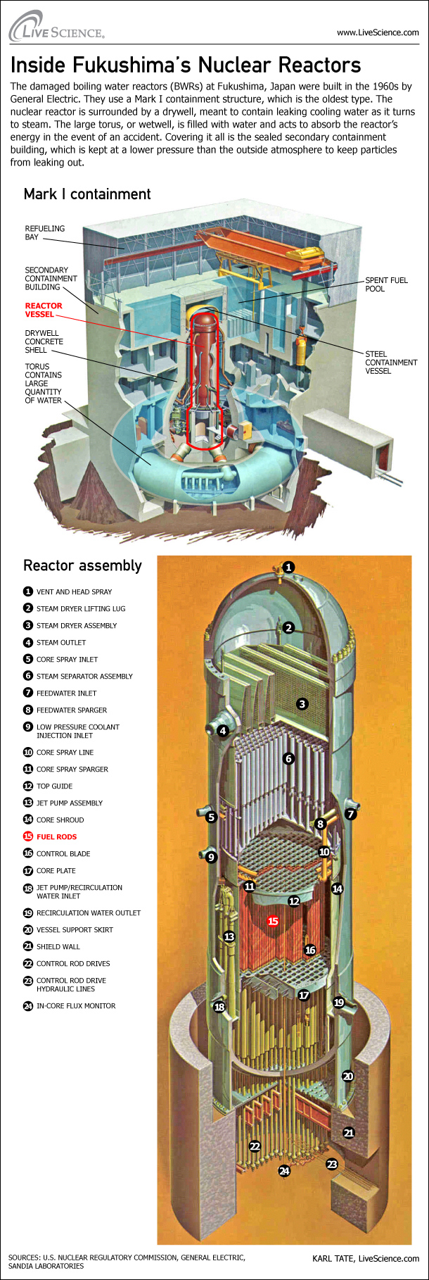 Inside a nuclear reactor