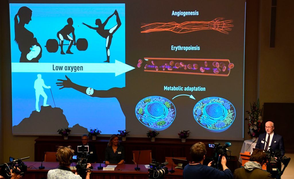 2019 Nobel Prize in Medicine