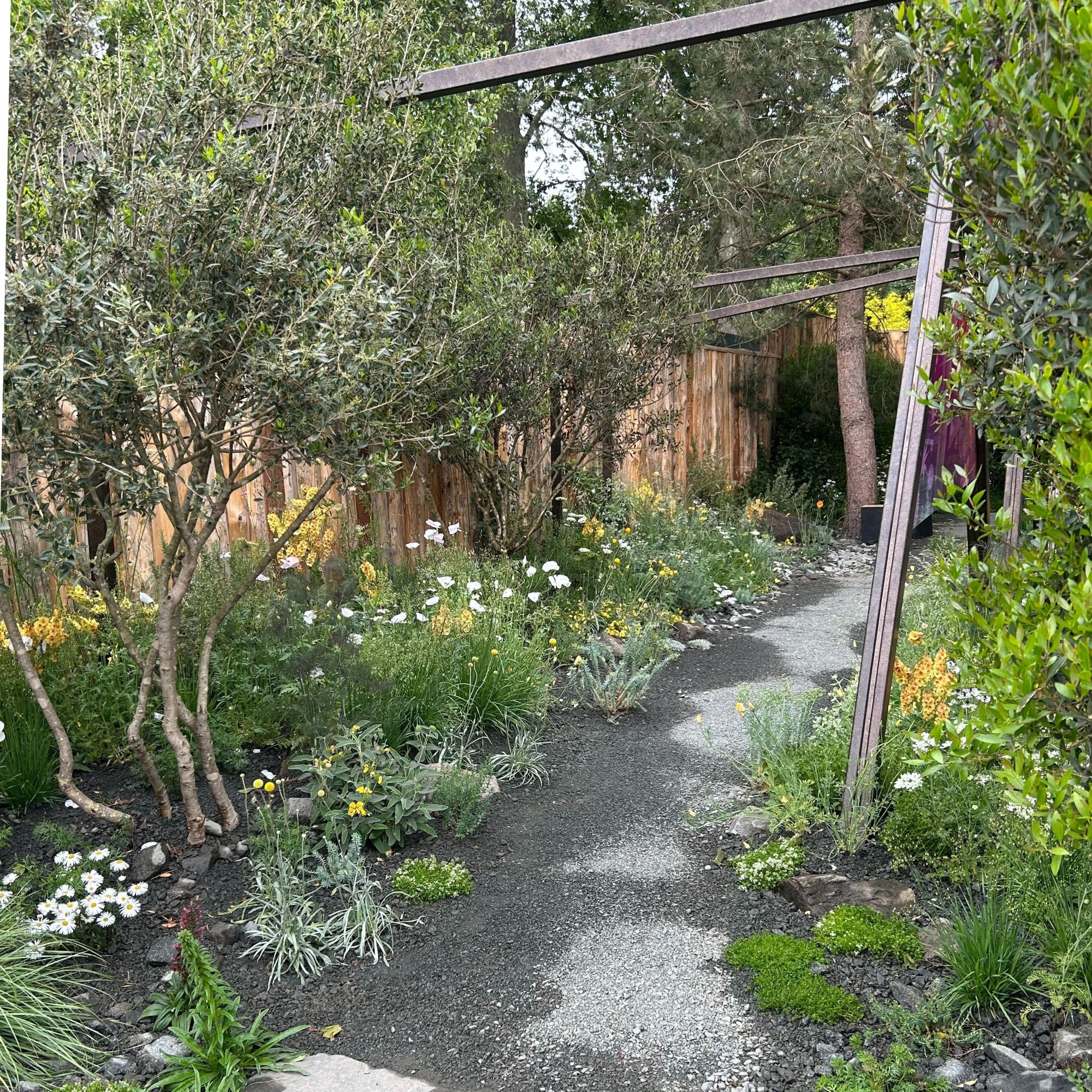 The King's Trust: Seeding Success Garden at the RHS Chelsea Flower Show 2025