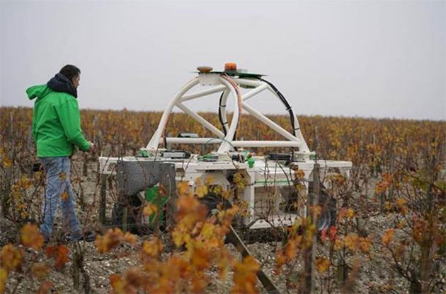robot vineyard worker
