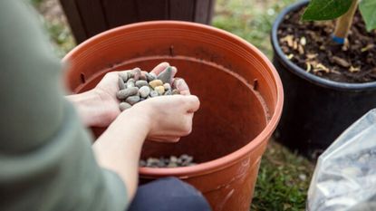 Adding layer of gravel to plant pot