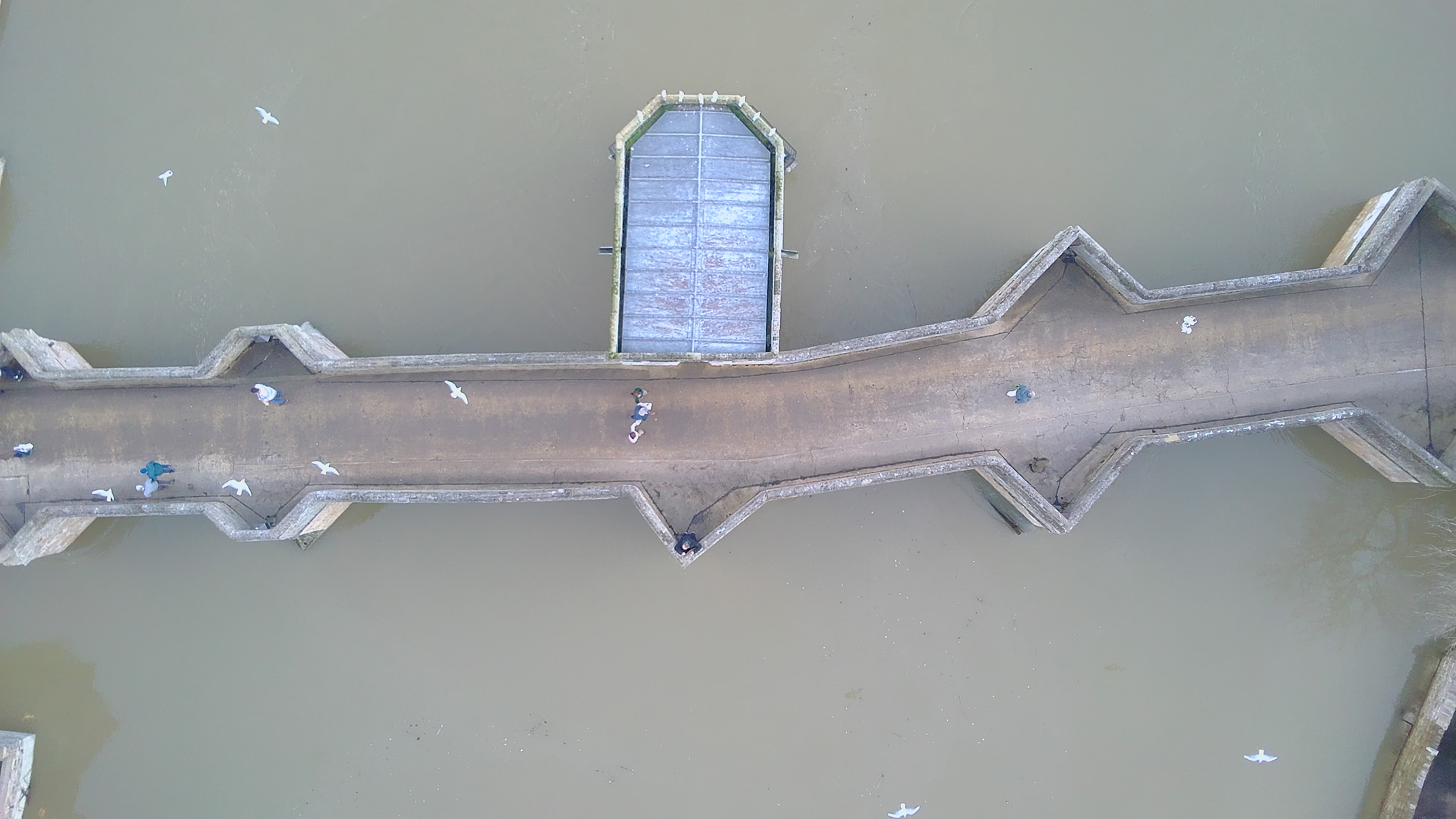 Photo of a bridge from above taken with a V-Copter Falcon Mini