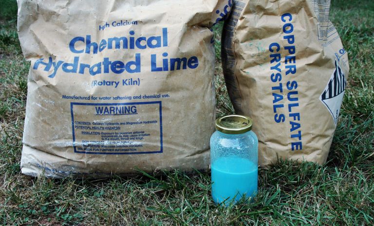 Bordeaux Fungicide Preparation - How To Make Bordeaux Fungicide ...