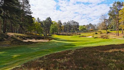 A Love Letter To Sunningdale
