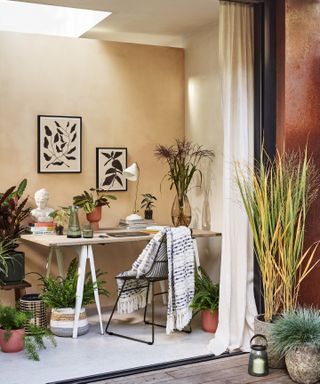 Garden office with trestle style desk, botanical prints on wall, and plethora of potted houseplants.