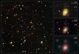 Massive Distant Galaxy Calls Theory into Question