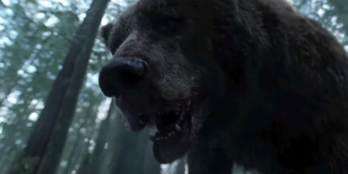 the revenant bear