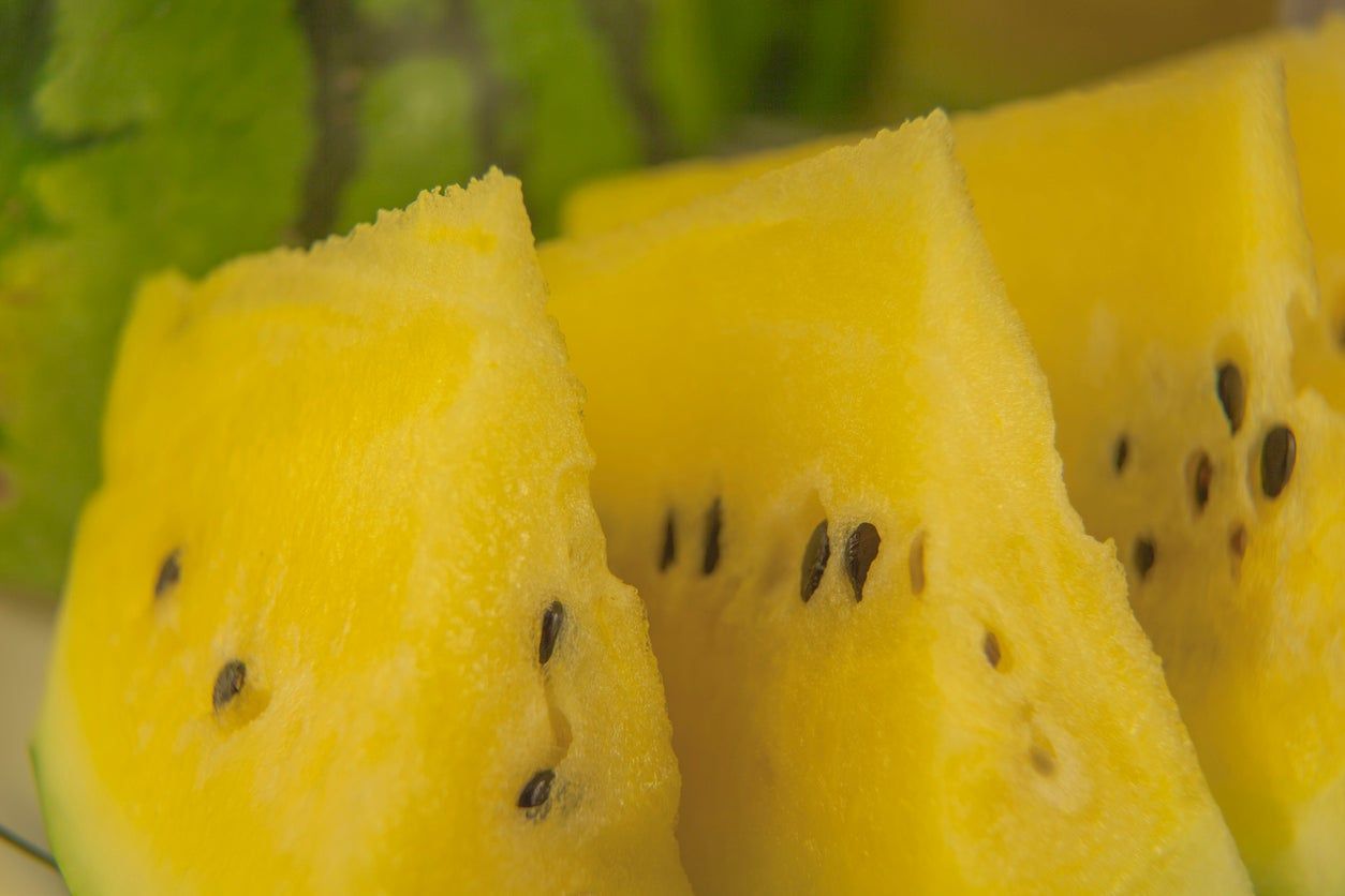 Slices Of Yellow Crimson Watermelon