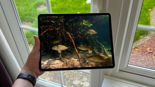 Apple iPad Pro 12.9 6th Generation held in front of a window with some fish on screen