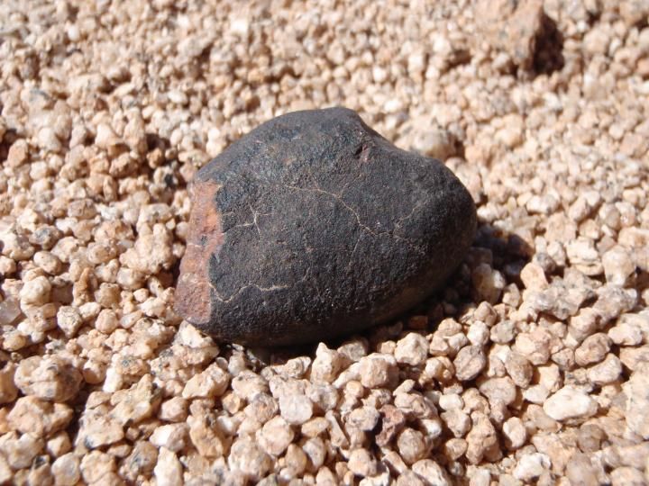 Earth's Oldest Meteorite Collection Just Found in the Driest Place on the Planet