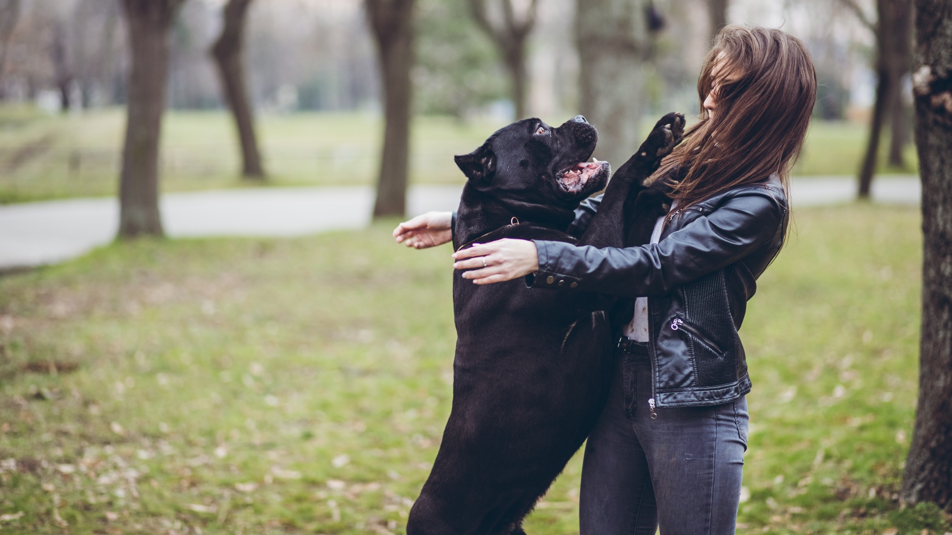 Trainer reveals the biggest mistake we make with dogs when they jump up — and what to do instead