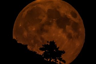 August 2014 Super Moon Over Entiat, Washington