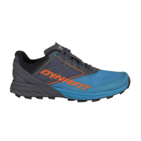 Dynafit Alpine Women's Trail Running Shoes:$159.95 $71.98 at BackcountrySave $88