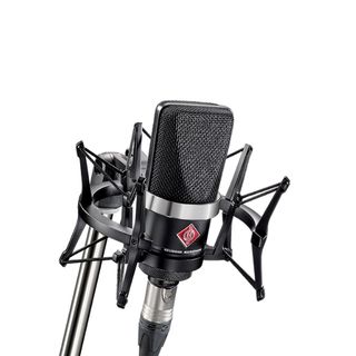 A Neumann TLM 102 XLR microphone