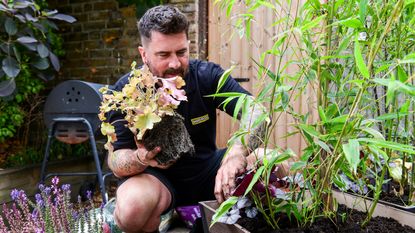 TV gardener Michael Perry, also known as Mr Plant Geek, planting flowers in a garden