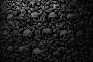 A bunch of skulls.