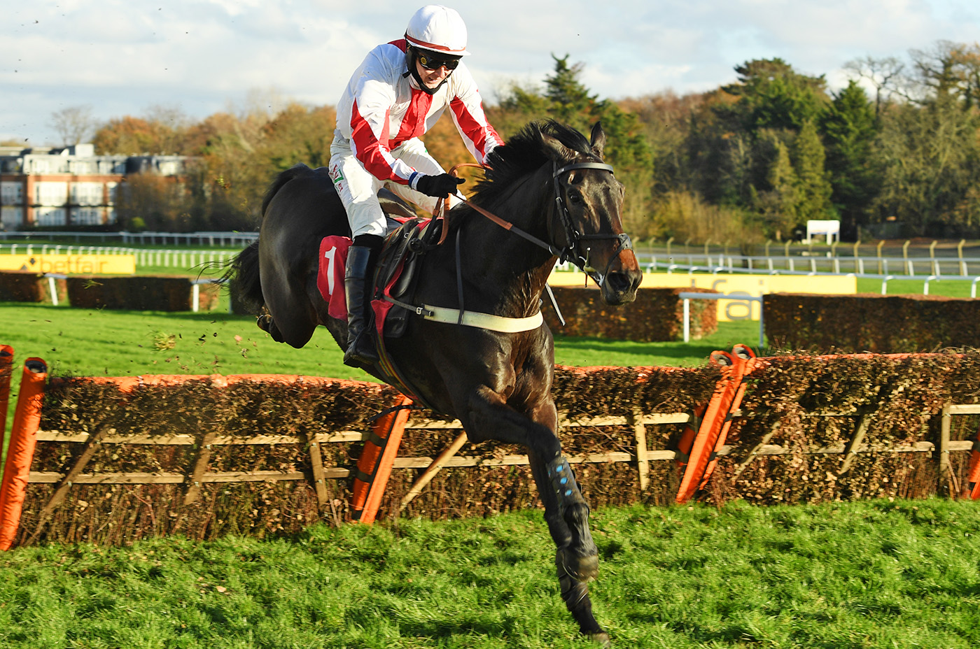 Fifty Ball and Neil Houlihan are clear at the last to win easily 5-12-20