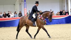Jordan Cook scoops ridden horse supreme aboard the hack Sutton Grange Lady Eleanor, earning them the Rory Gilsenan memorial trophy at UK nationals showing show