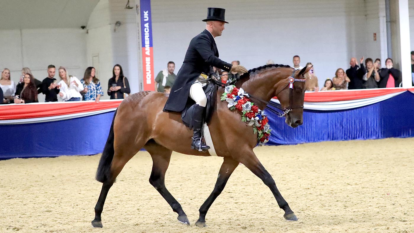 Jordan Cook scoops ridden horse supreme aboard the hack Sutton Grange Lady Eleanor, earning them the Rory Gilsenan memorial trophy at UK nationals showing show