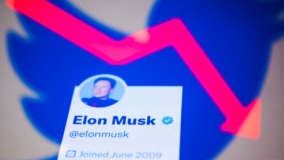 Elon Musk and Twitter