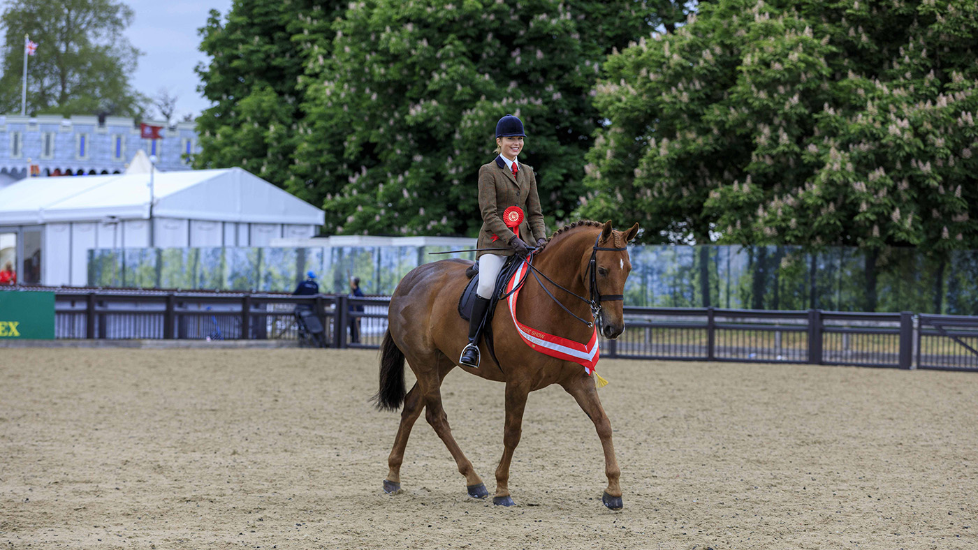 royal windsor amateur hunter championship