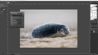 Screenshot of GIMP software editing a picture of a seal on a beach