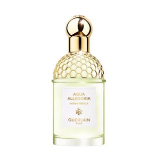 Guerlain Aqua Allegoria Herba Fresca Eau de Toilette