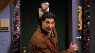 Ross with Marcel the capuchin on his head in Friends