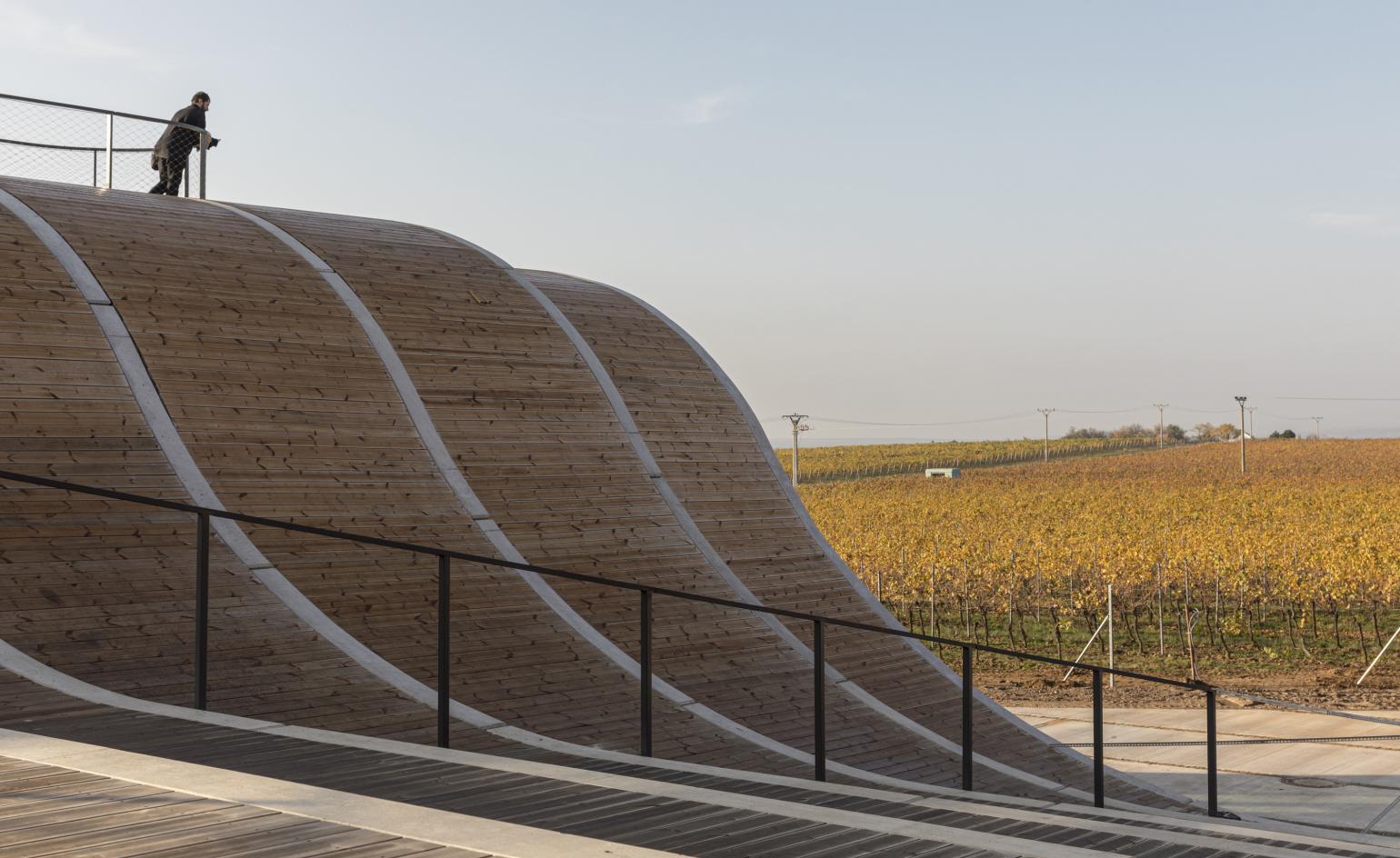 The roof of Lahofer Winery Chybik Kristof