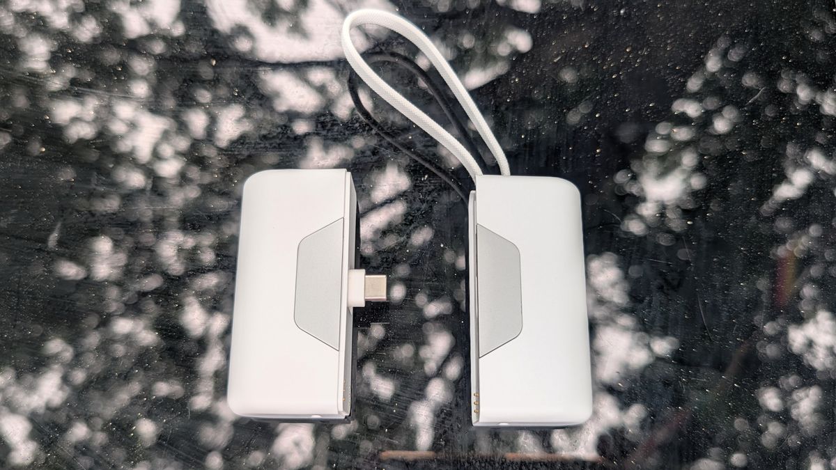 Nimble SharePower 10,000mAh power bank