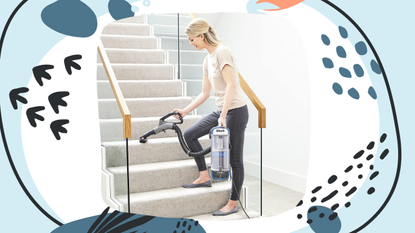 Shark Black Friday deal: a woman vacuums the stairs with a Shark cordless vacuum cleaner
