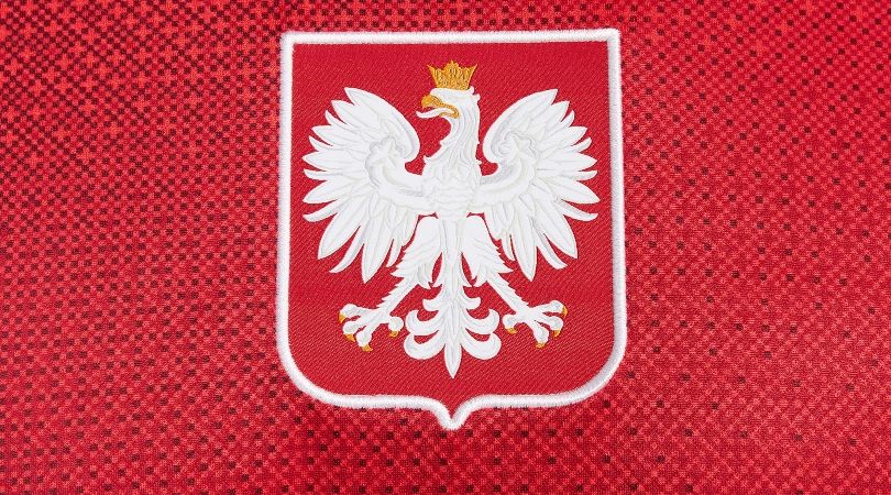 Nike Poland Euro 2024 away kit