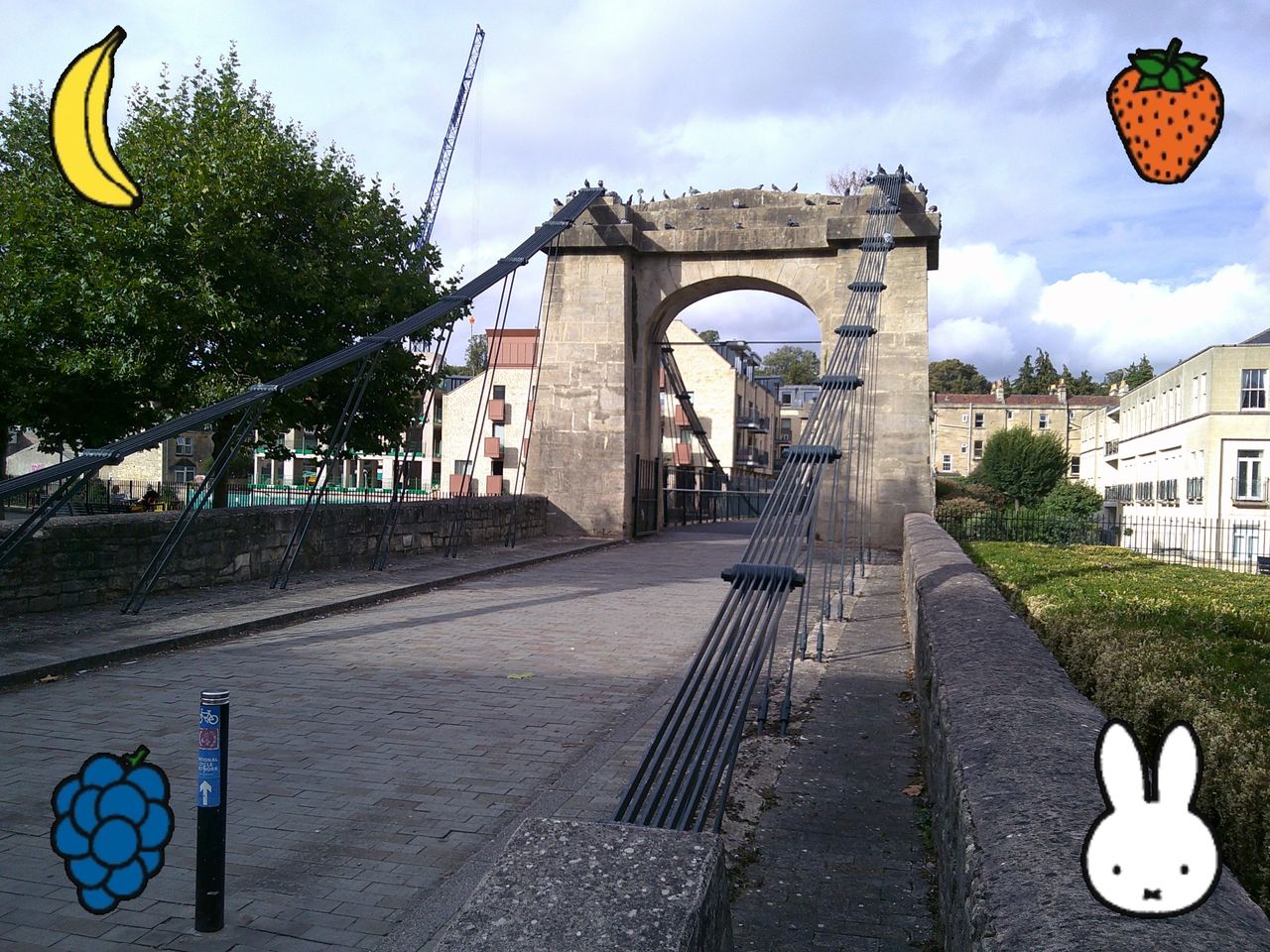 A photo taken on a Lola Miffy Digital Camera