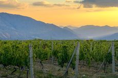 Sunset over the vineyards of Noa Vineyards in Vayots Dzor.