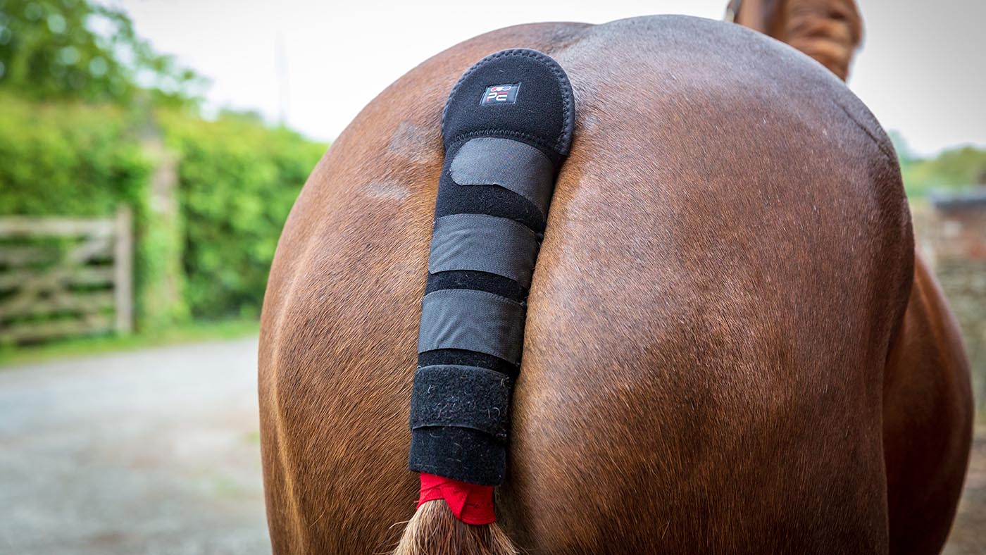 Premier Equine padded tail guard with tail bag