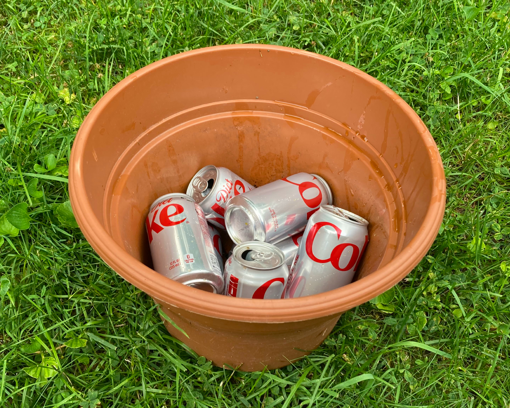 Diet Coke cans in a plant pot