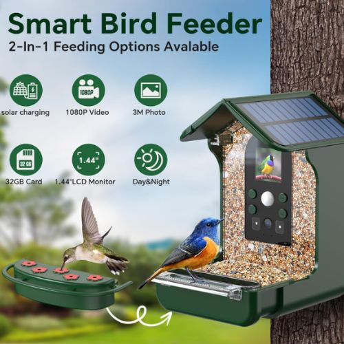Amazon bird feeder with camera