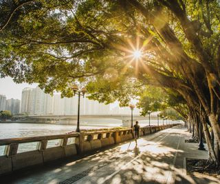 A person runs on a tree lined street in a city