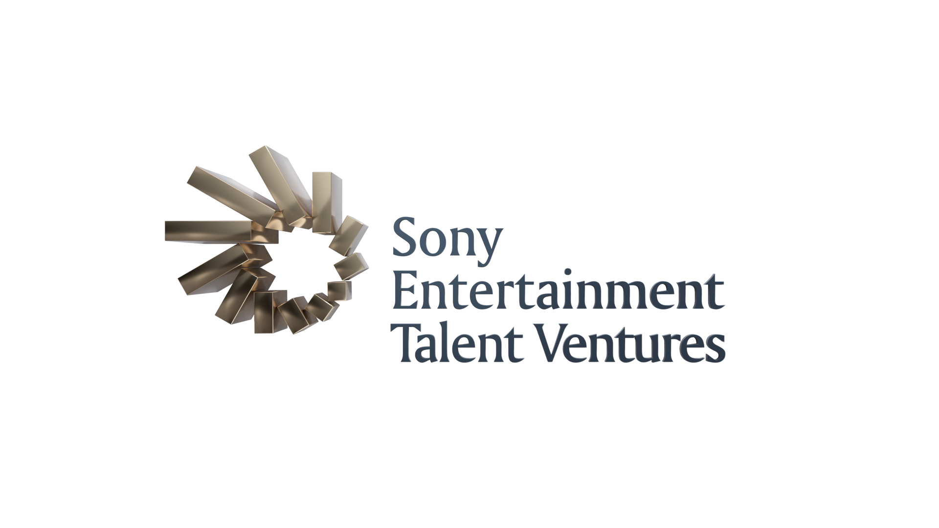 Sony India's new venture