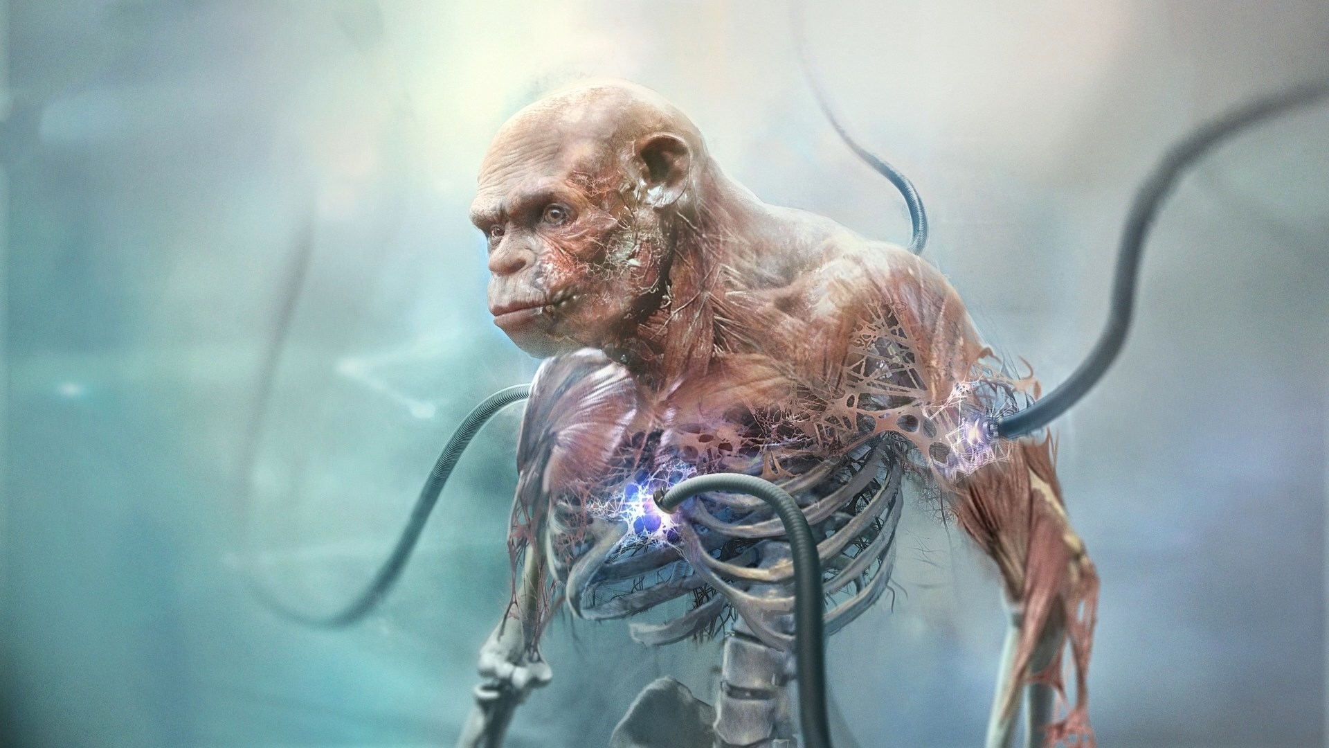 Beyond Good and Evil 2 - monkey, alive but half skeletal