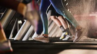 A group of women exercising on treadmills in a health club