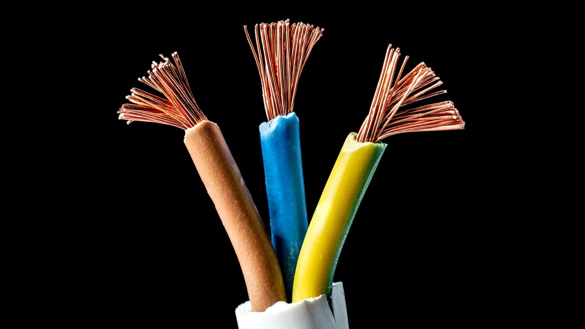 apVt6MW8p33b2WzcuEDdLJ-1920-80.jpg