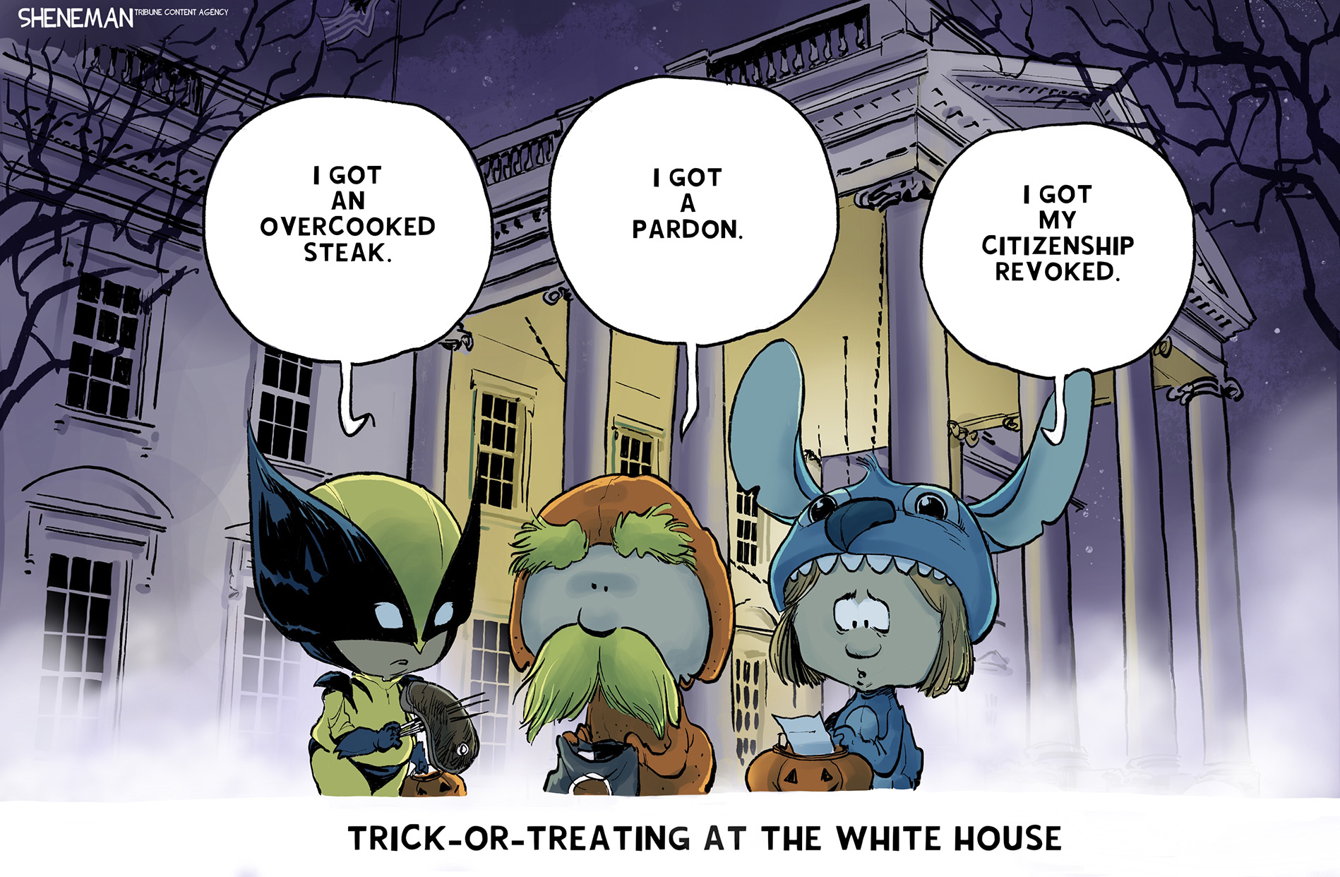 Political Cartoon
