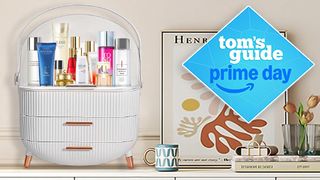 Massy Makeup Storage box