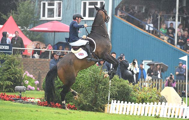 SCOTT BRASH HELLO SHELBY - NATIONS CUP