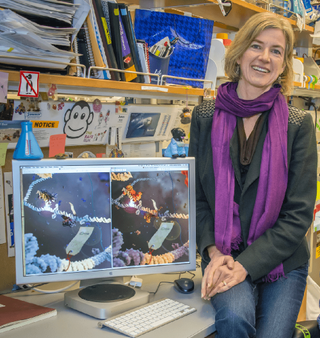 Jennifer Doudna from the University of California Berkeley, who was one a co-inventor of the CRISPR, recently called for caution in using the gene-editing technology on human cells.