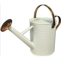 27. Ivory &amp; Copper Metal Watering Can