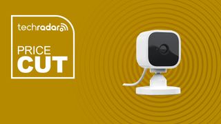 Blink Mini on a yellow background