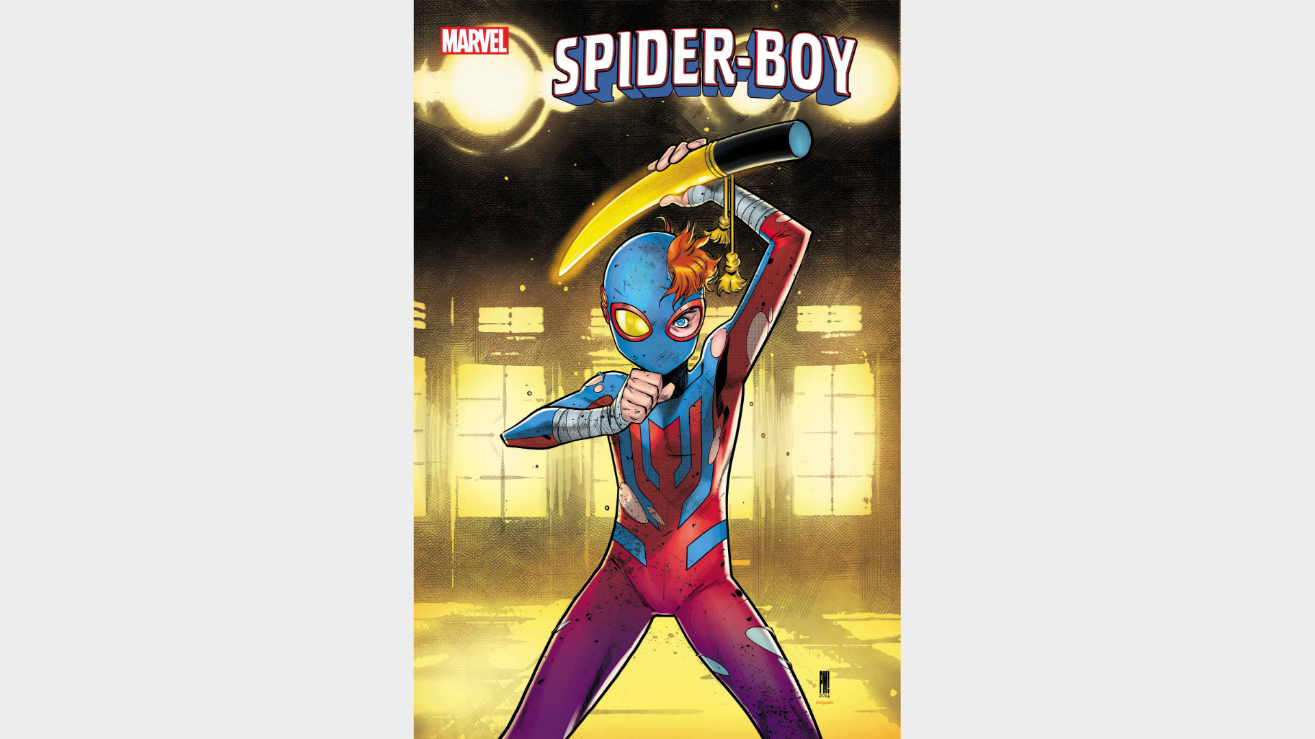 SPIDER-BOY #14